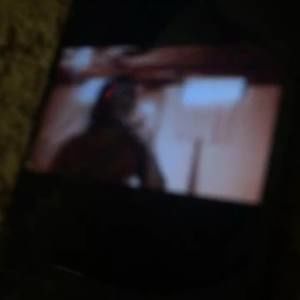 Meet your Posher, Trapstar